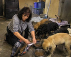 Support our Dogs
